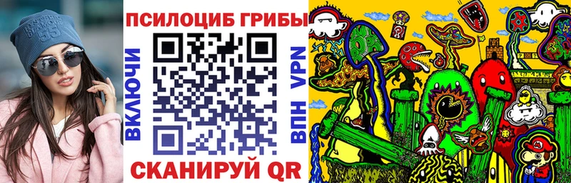 Галлюциногенные грибы Psilocybine cubensis  где продают   Электроугли 